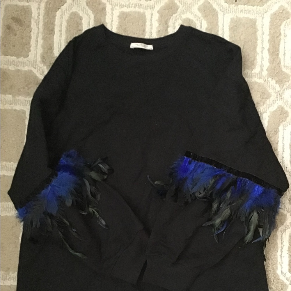 Cute Zara top with feather sleeves